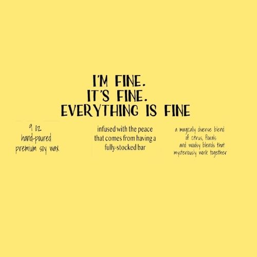 I'm fine. it's fine. everything's fine - vanilla lime candle